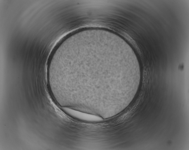 X0000115410988200912011336