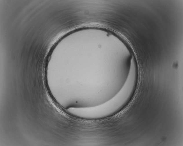 X0000115410989200912011336