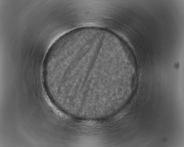 X0000115410991200912011336