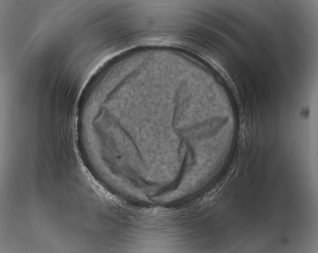 X0000115410992200912011336