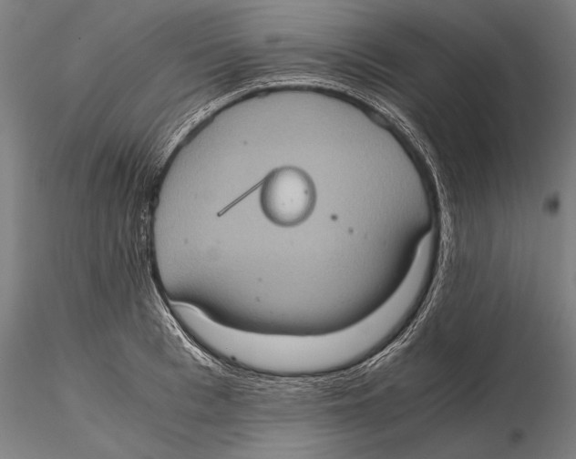 X0000115410993200912011336