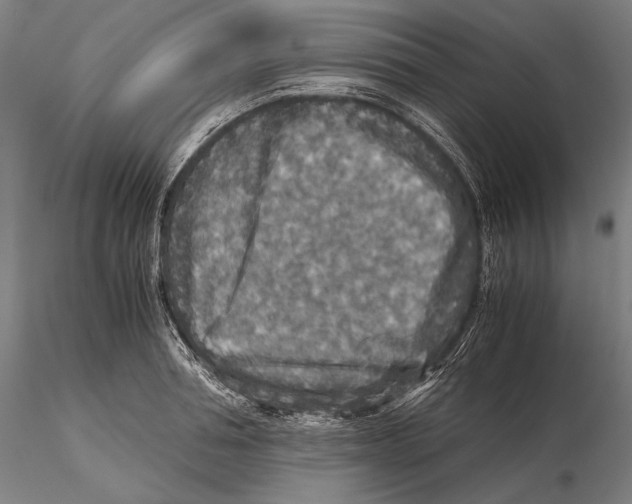 X0000115410994200912011336