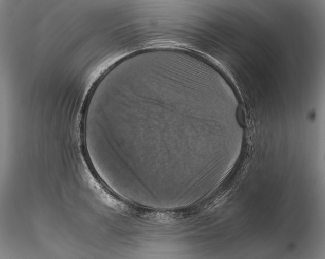 X0000115410995200912011336