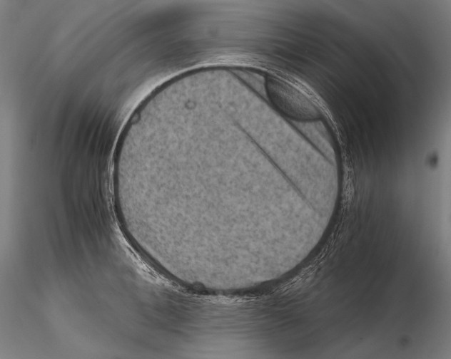 X0000115410996200912011336