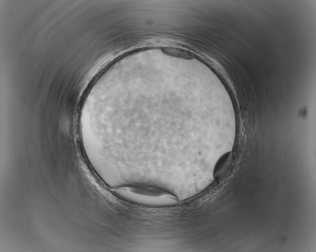 X0000115410997200912011336