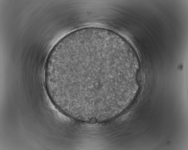 X0000115410999200912011336