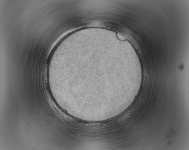 X0000115411000200912011336