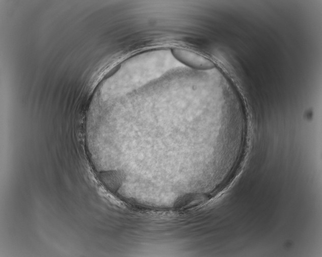 X0000115411001200912011336