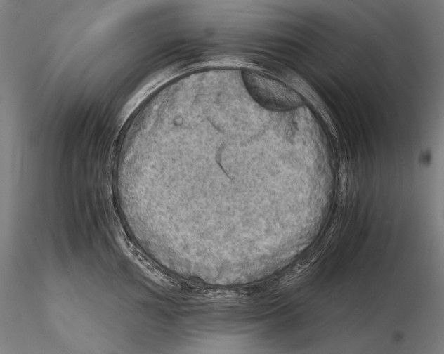 X0000115411002200912011335