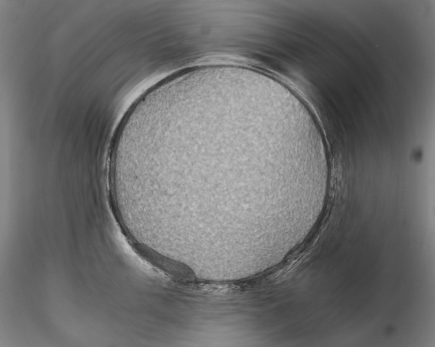 X0000115411003200912011335