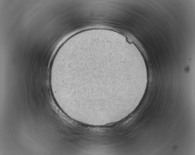 X0000115411004200912011335