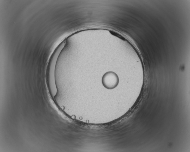 X0000115411005200912011335