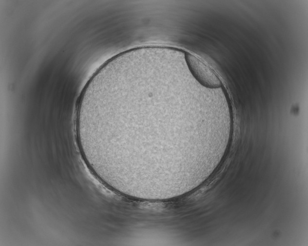 X0000115411006200912011335