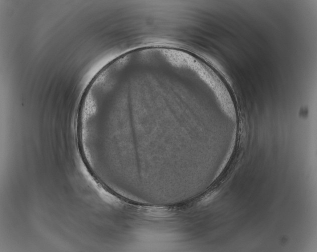 X0000115411007200912011335