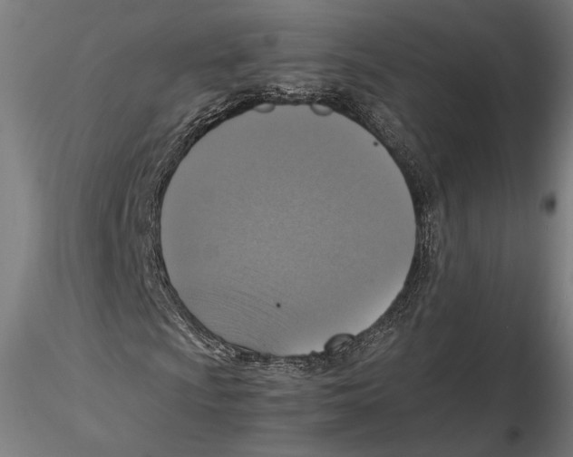 X0000115411009200912011335