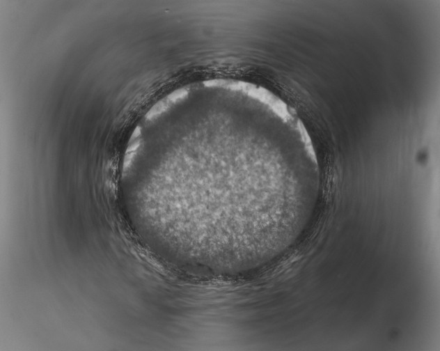 X0000115411010200912011335