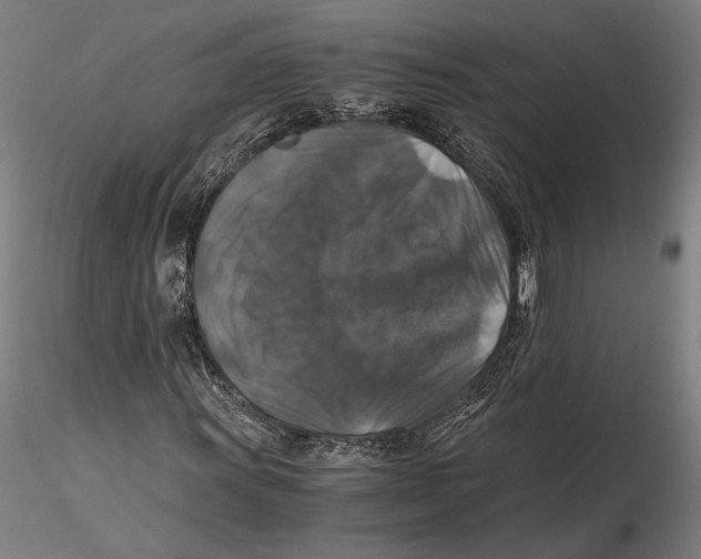 X0000115411011200912011335