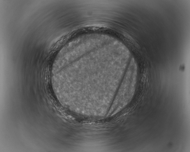 X0000115411014200912011335