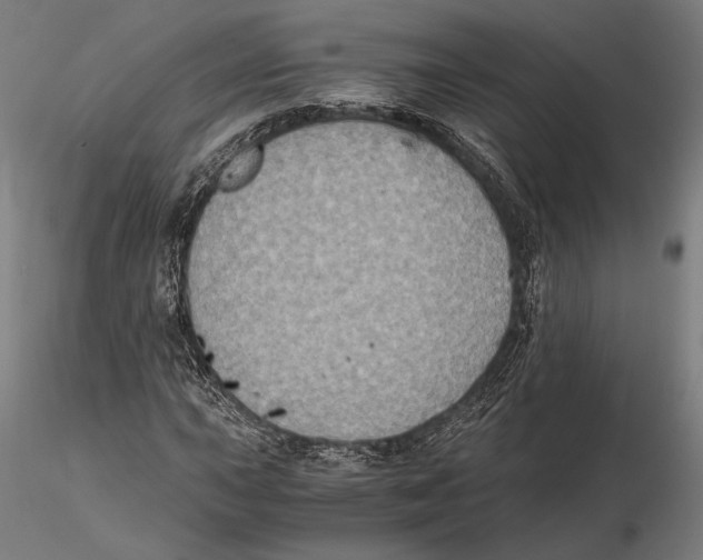 X0000115411015200912011335