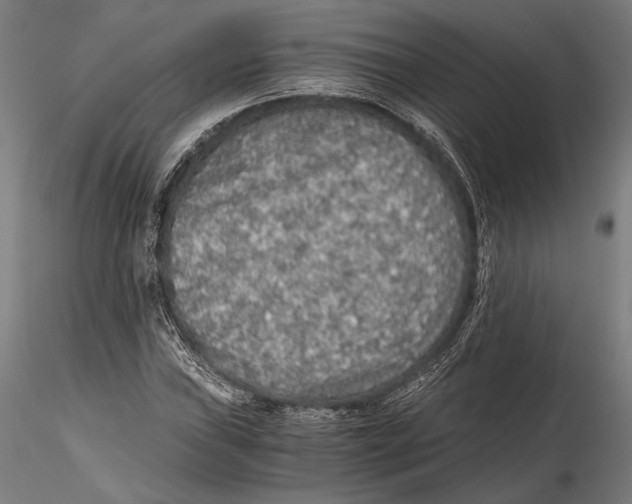 X0000115411019200912011335