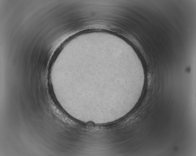 X0000115411020200912011335