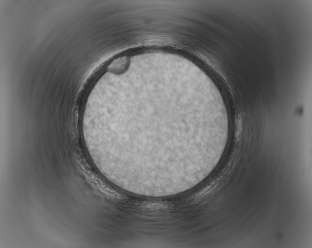 X0000115411021200912011335