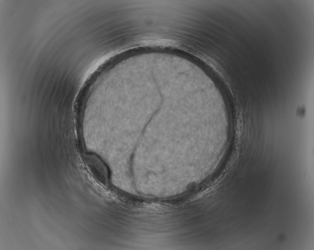 X0000115411022200912011335