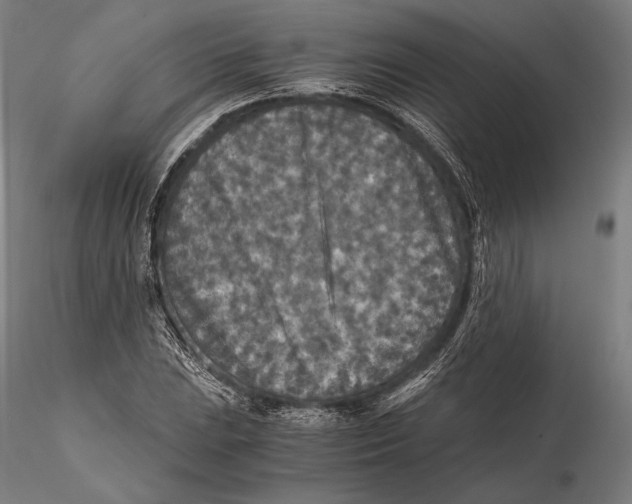 X0000115411023200912011335