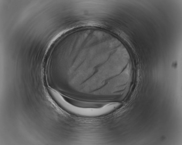 X0000115411024200912011335