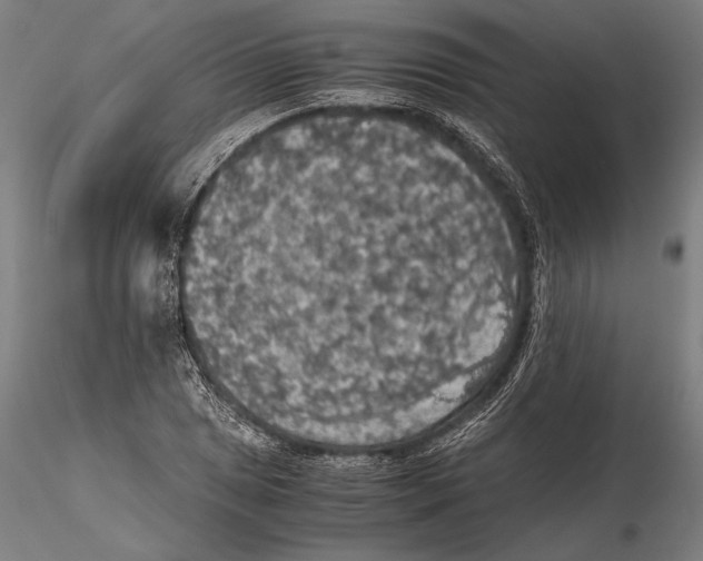 X0000115411025200912011335