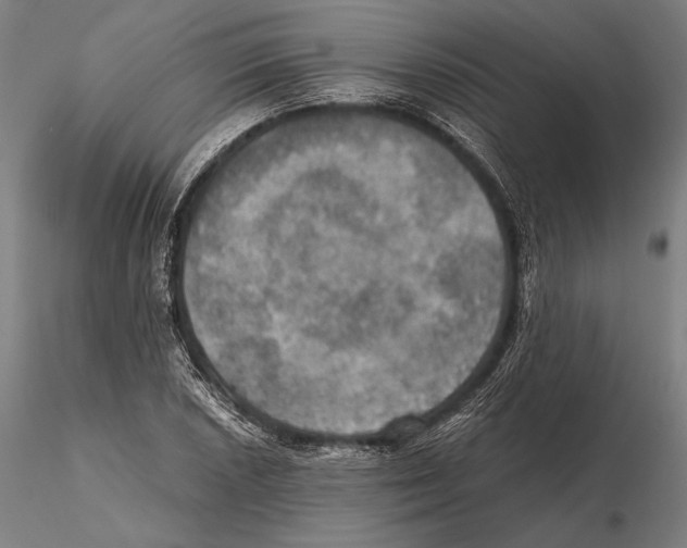 X0000115411026200912011335