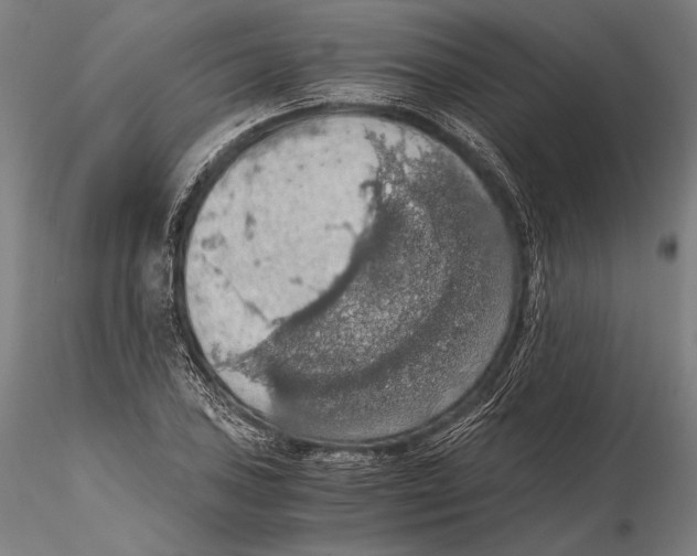 X0000115411027200912011335