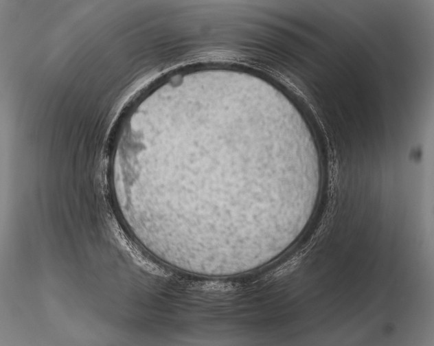 X0000115411029200912011335