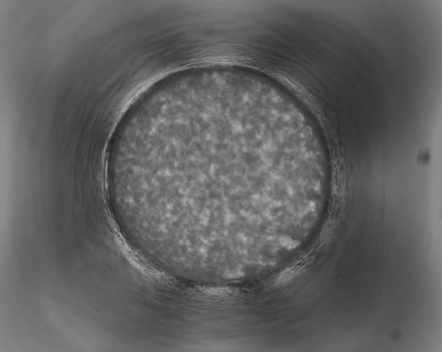 X0000115411031200912011335