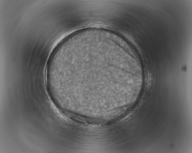 X0000115411032200912011335