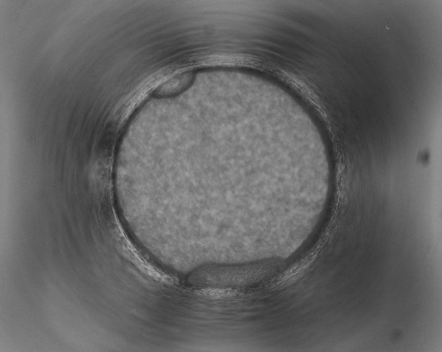 X0000115411033200912011335