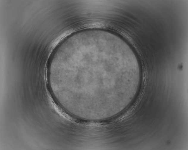 X0000115411034200912011335