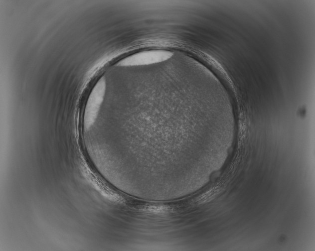 X0000115411035200912011335