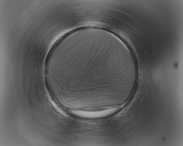 X0000115411037200912011335