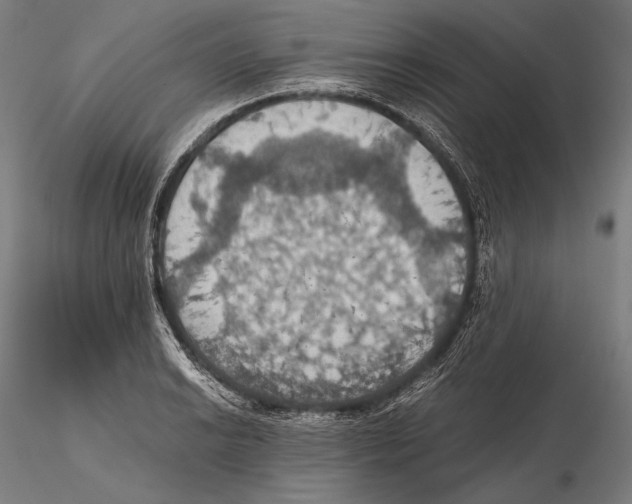 X0000115411038200912011335