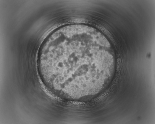 X0000115411039200912011335