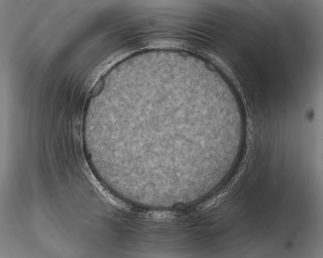 X0000115411041200912011335