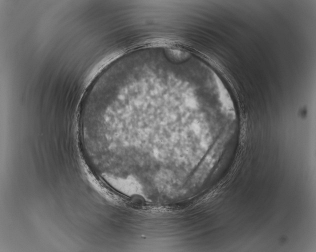 X0000115411042200912011335