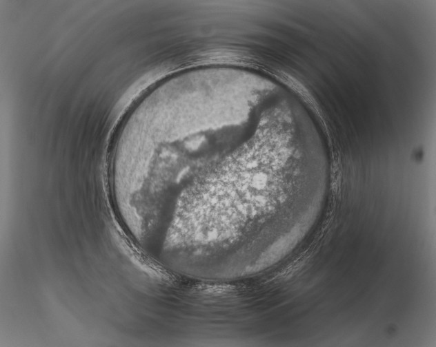 X0000115411043200912011335