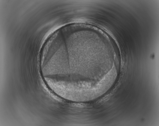 X0000115411045200912011335