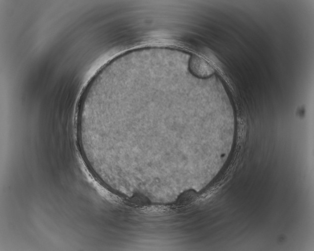 X0000115411046200912011335