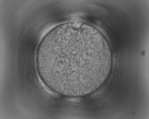 X0000115411047200912011335