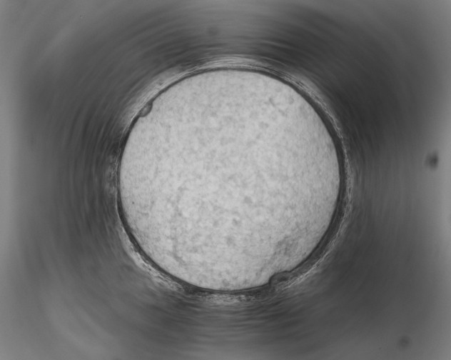 X0000115411049200912011335