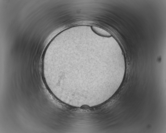 X0000115411050200912011335