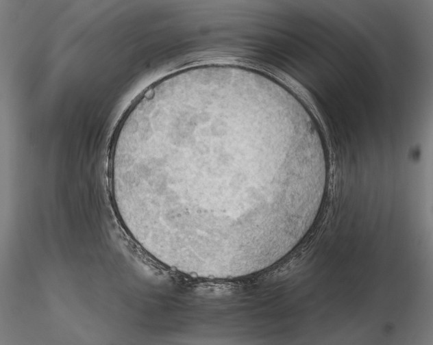 X0000115411051200912011335